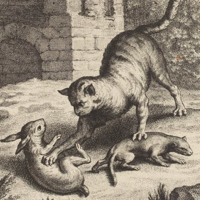 Le chat, la belette… (La Fontaine, Desaint et Saillant, 1755) - Oudry